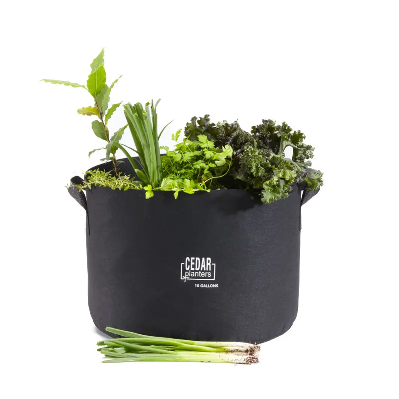 10-Gallon Fabric Grow Bag For Container Gardening 1