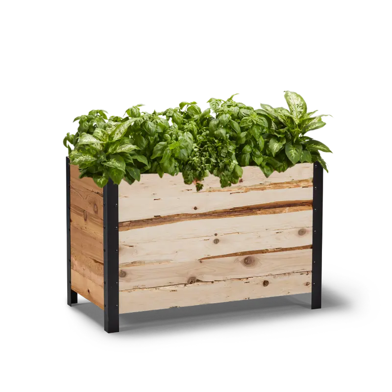 18" X 36" Low-Profile Planter Box – 24" Height, Garden-Grade Construction 1