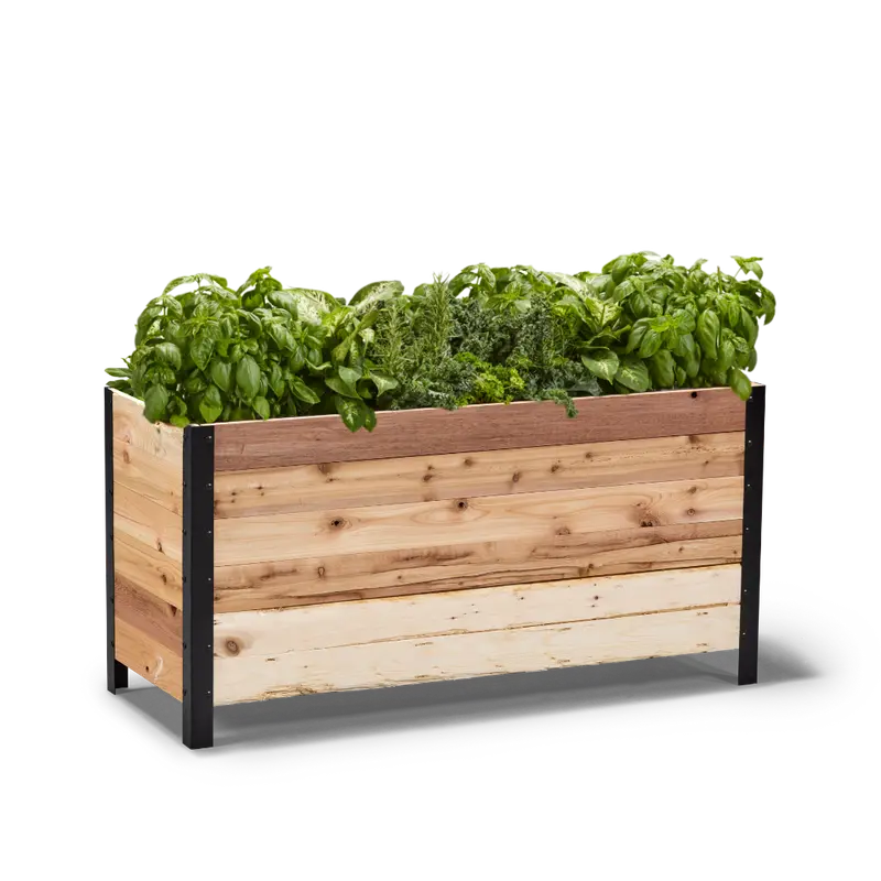 18" X 48" Low-Profile Planter Box – 24" Height, Garden-Grade Build 1