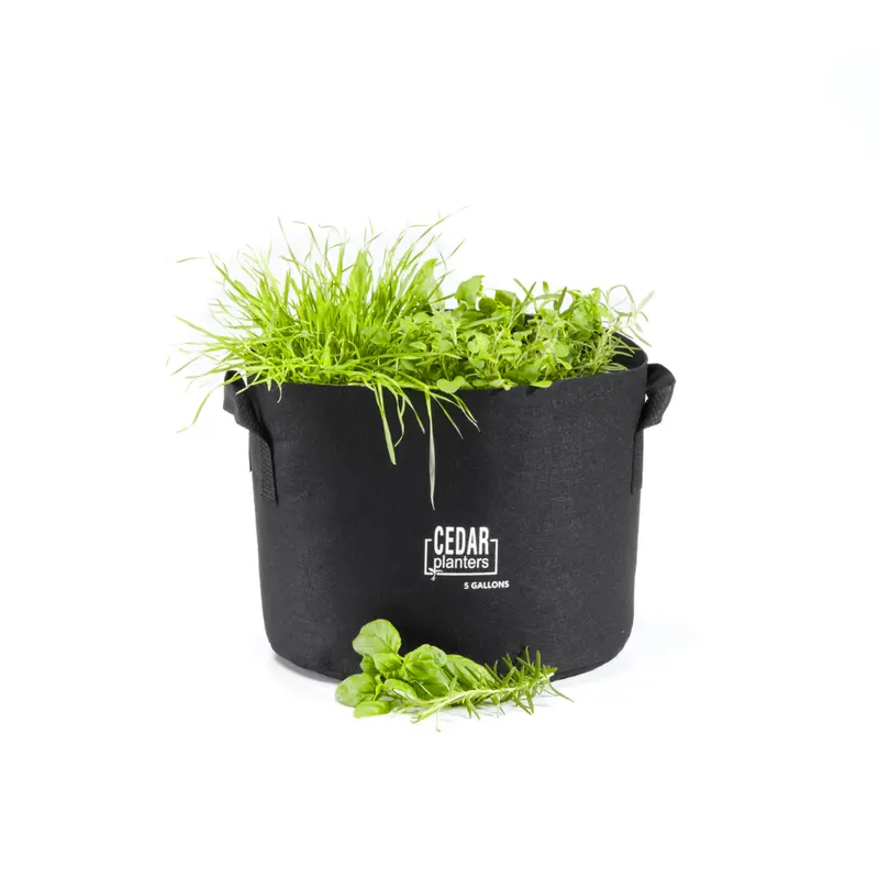 5-Gallon Durable Fabric Grow Bag – Lightweight & Drainage-Optimized 1