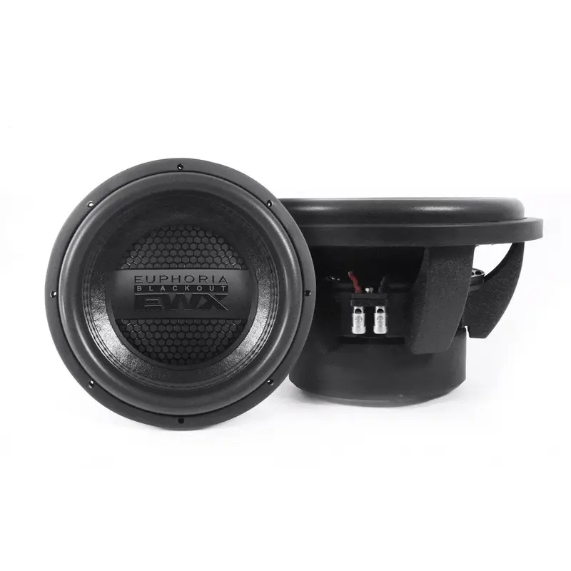 Euphoria 12-Inch Dual Voice Coil Subwoofer – 2500W, 4 Ohm (Ewxb12D4) 1