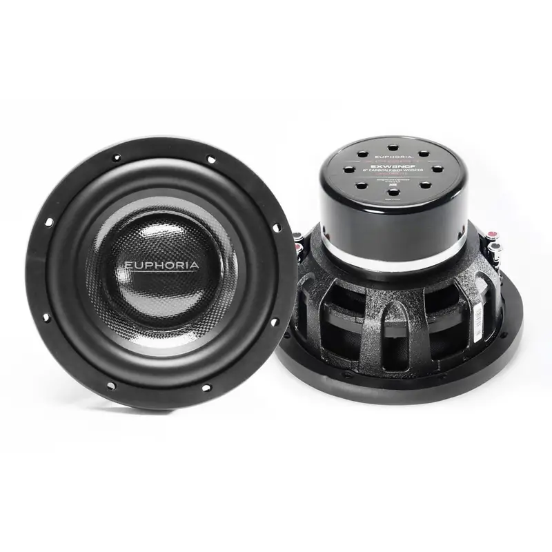 Euphoria Exw10Ncf 10-Inch Weatherproof Carbon Fiber Subwoofer – 2500W Peak 1