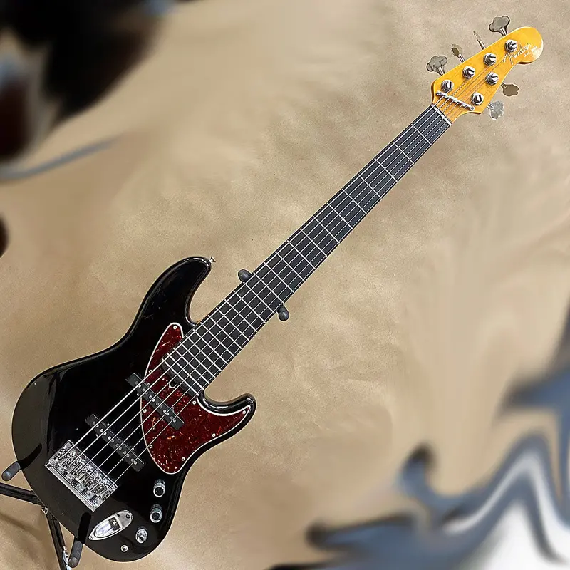 Fender Steve Bailey Jazz Bass Vi – Six-String Fretless Bass 1