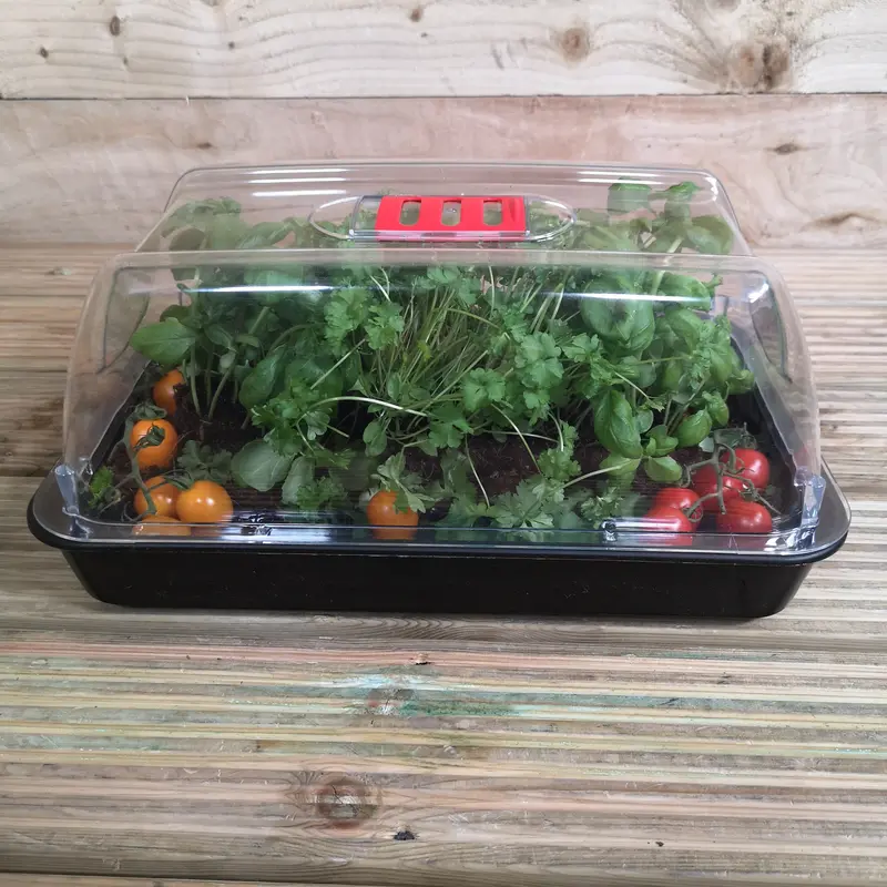 Grostart Midi Propagator Tray Set – 6-Pack Unheated Seed Starter Kit For Indoor Germination 1