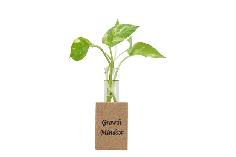 Growth Mindset Fridge Magnet Planter With Test Tube Display 1