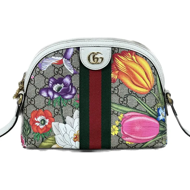 Gucci Ophidia Dome Small Shoulder Bag In Gg Coated Canvas 1
