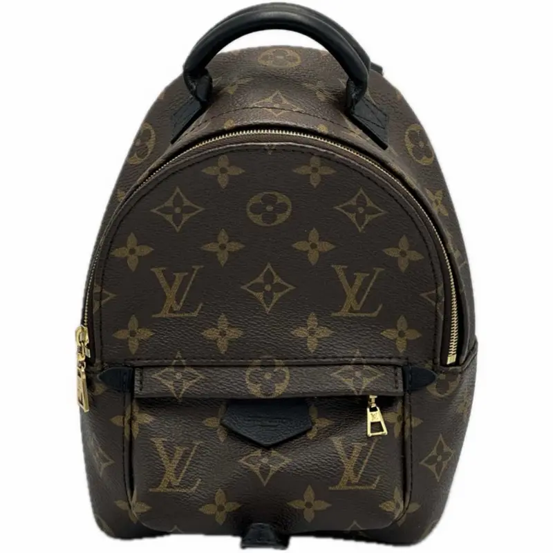 Louis Vuitton Monogram Palm Springs Mini Bag 1