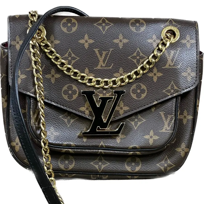Louis Vuitton Monogram Passy – Slim Crossbody Organizer 1