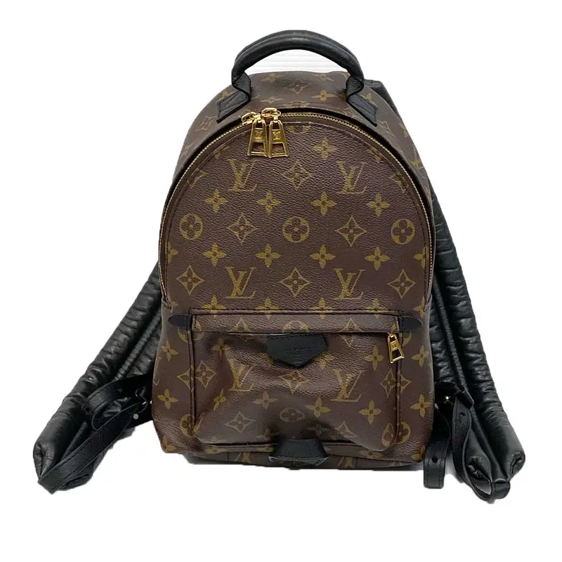 Louis Vuitton Palm Springs Pm Backpack In Monogram Canvas 1