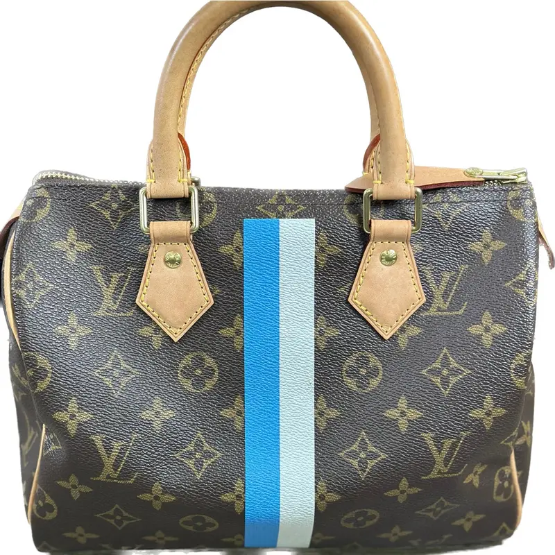 Louis Vuitton Speedy 25 My Heritage Bag With Blue-White Stripe 1