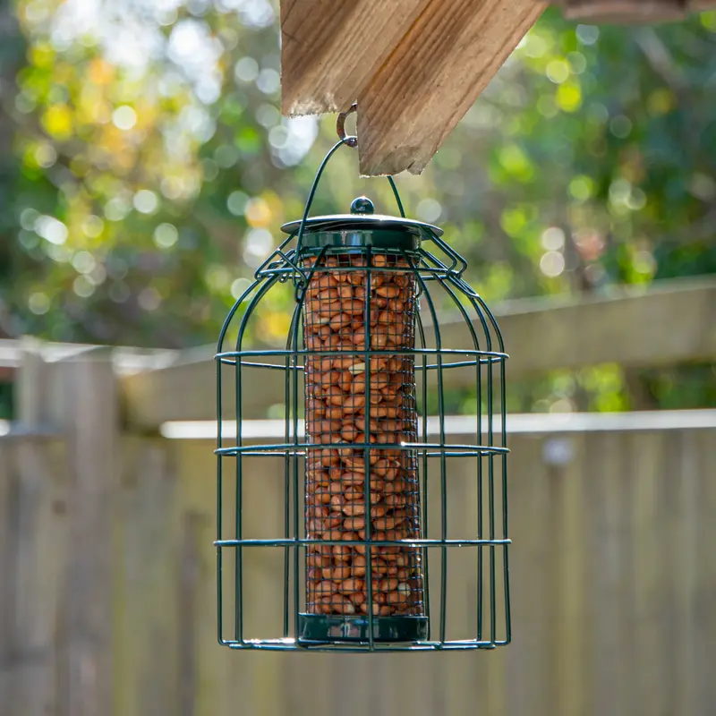 Natures Market Nut Feeder For Wild Birds – Hanging Squirrel-Resistant Wildlife Feeding Station 1