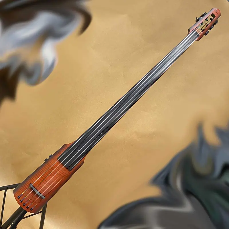 Ns Design Nxt5 Five-String Electric Upright Bass 1