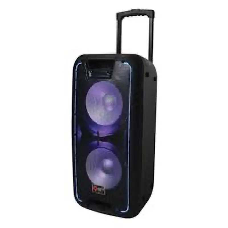Quantum Audio Qdj210Wp Dual 10-Inch Portable Dj Speaker Cabinet 1