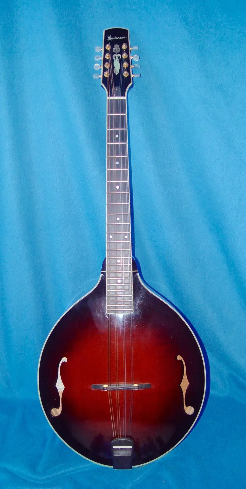 Rare Steven Andersen Mandocello – Hand-Built Folk-Instrument Masterpiece 1