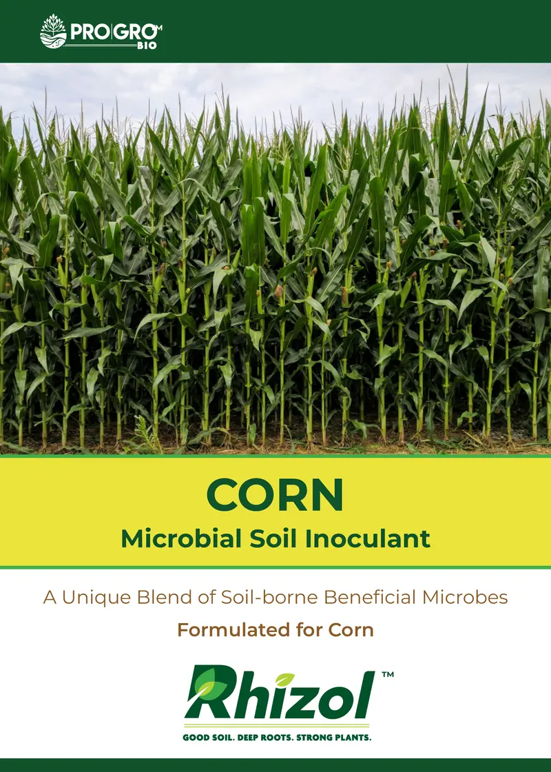 Rhizol Corn Dissolvable Microbial Soil Inoculant 1