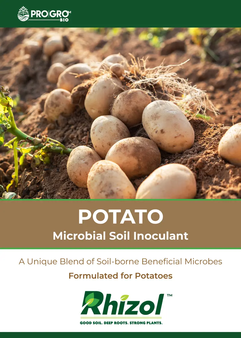 Rhizol Potato Dissolvable Microbial Soil Inoculant 1