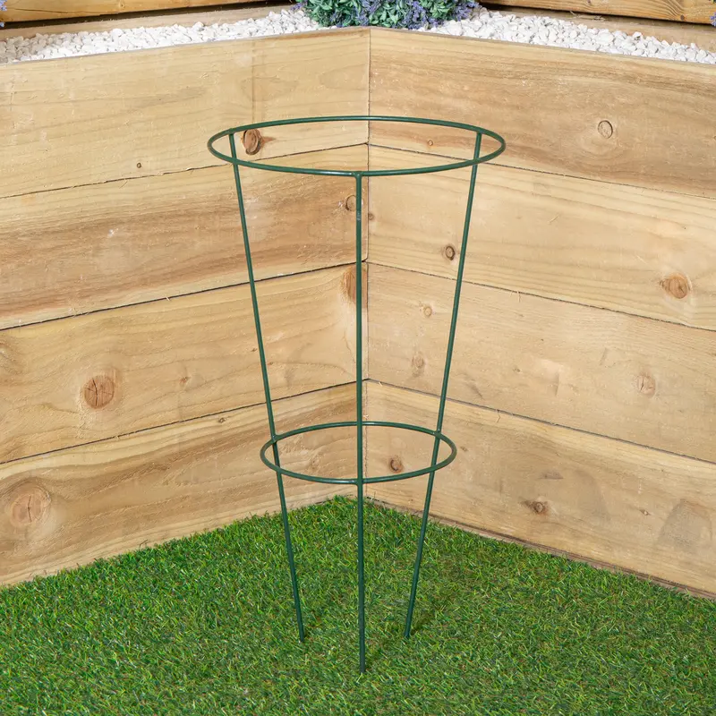 Tom Chambers Urban Green Conical Plant Support Ring – Medium (30Cm) 1