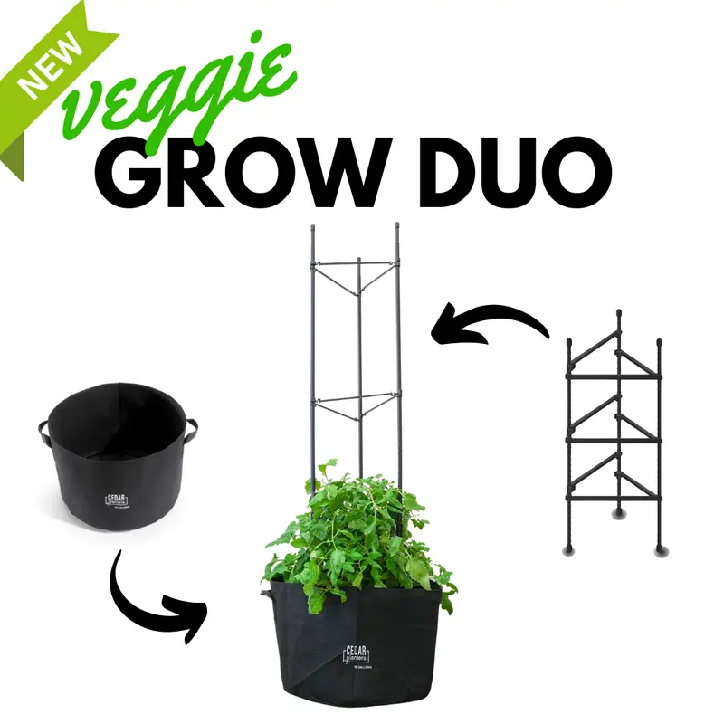 Veggie Grow Duo Set – Companion Planting Starter Bundle 1