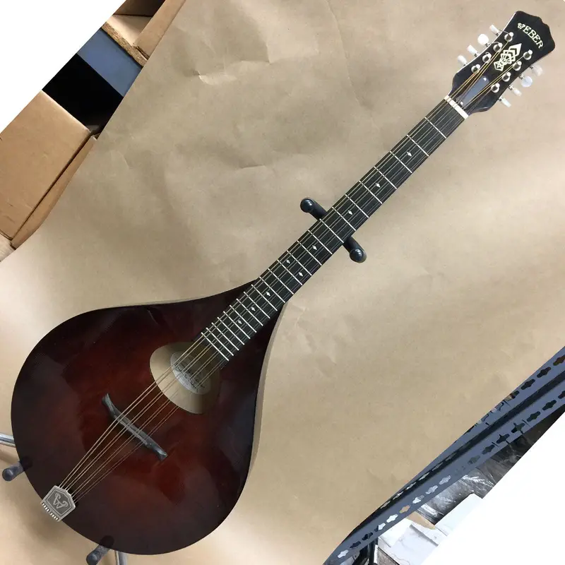 Weber Tamarack #1 Mandocello – Handcrafted Archtop String Instrument 1