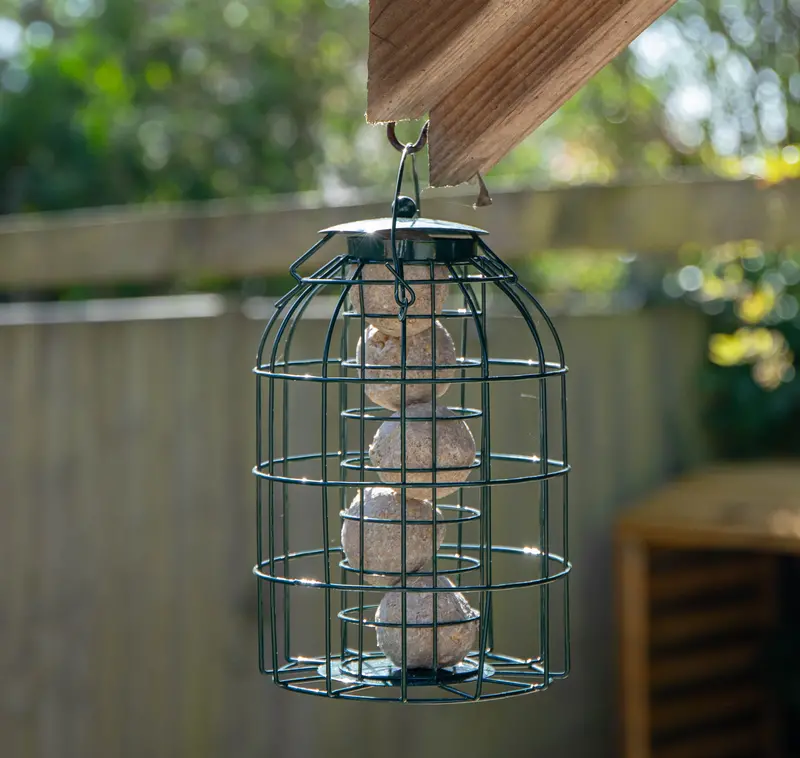 Wild Bird Fat Ball Feeder With Squirrel-Proof Guard – Natures Market 1