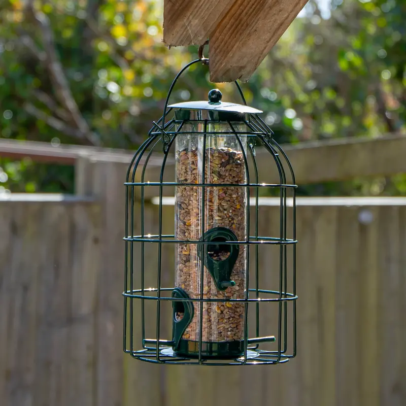 Wild Bird Seed Feeder With Squirrel-Proof Caging – Durable Outdoor Hanging Design 1