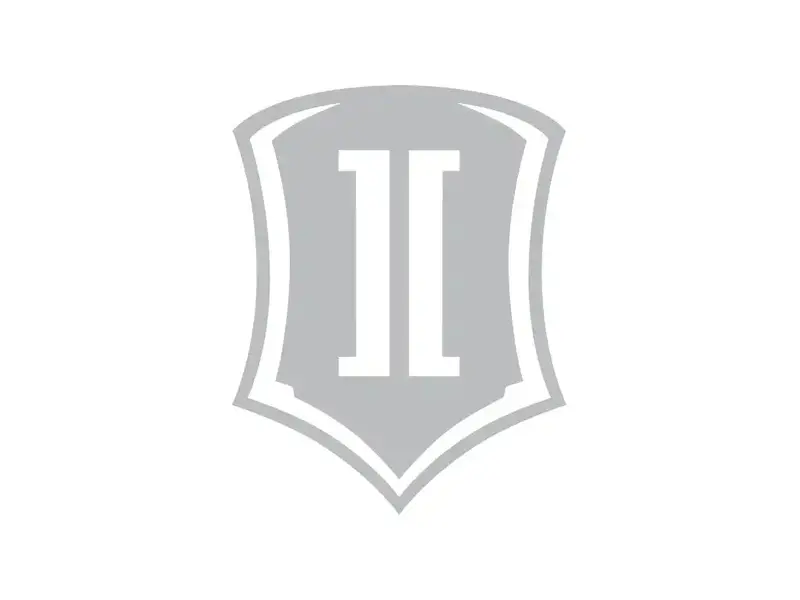 Icon Vehicle Dynamics Sticker Shield – 10-Inch Silver Decal 1